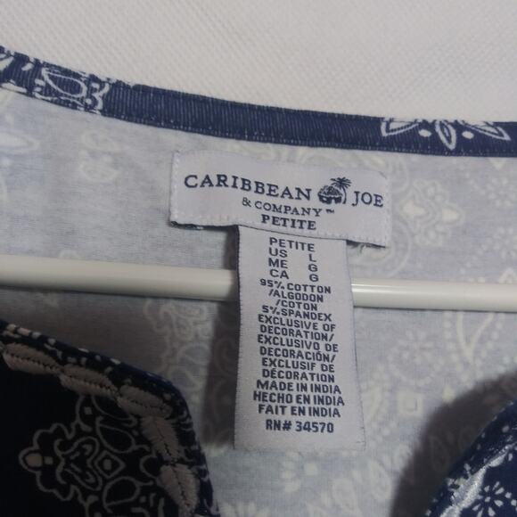 Caribbean Joe Blue Patterned Embroidered Sleeveless Resort Vacation Dress Sz PL - Picture 4 of 6